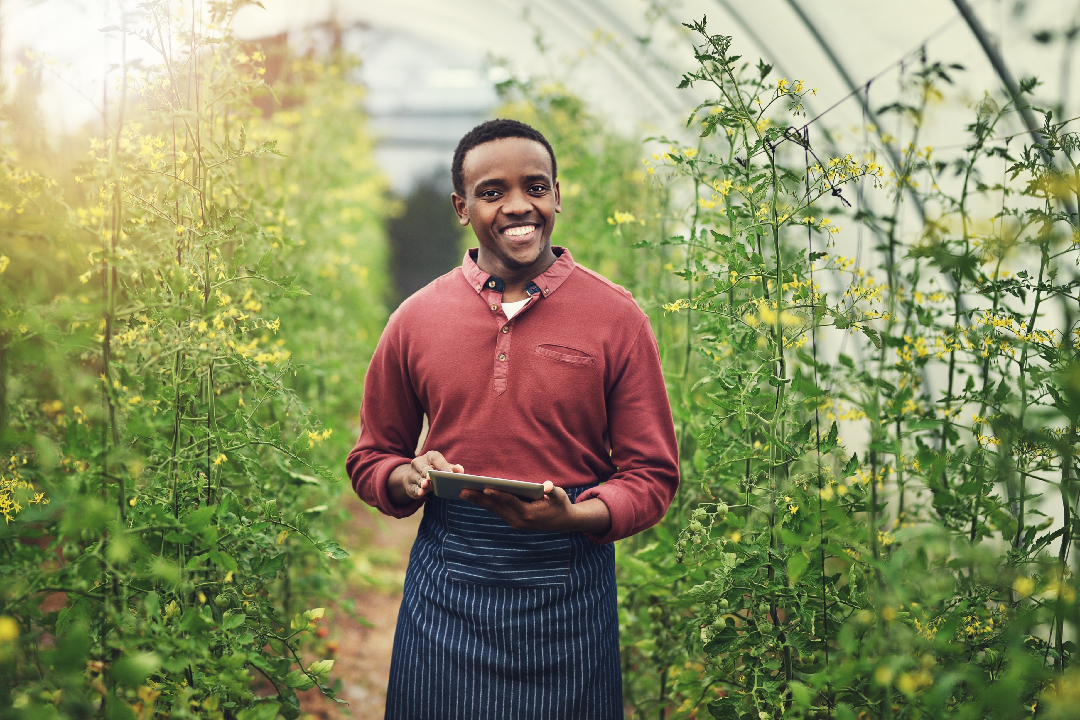 Happy,Black,Man,,Portrait,Or,Farmer,With,Tablet,In,Greenhouse